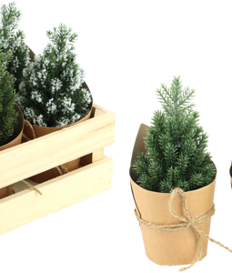 1843 TREES IN BOX WINTERWALD S/6